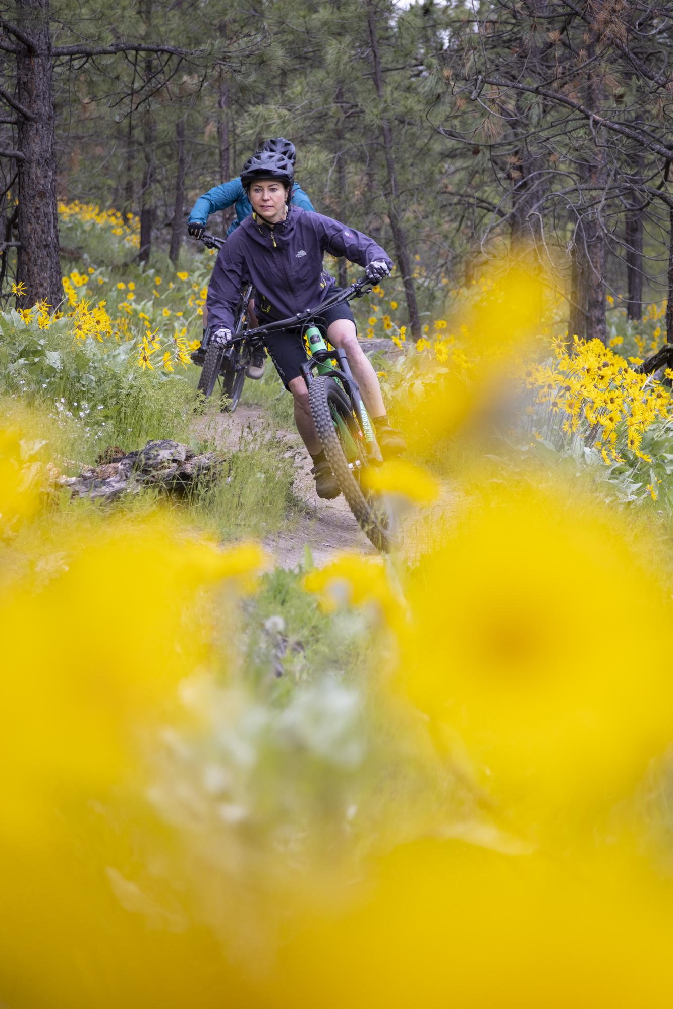Two people biking through a forest