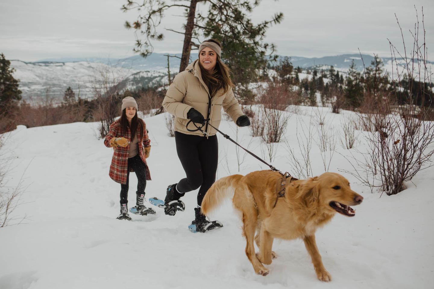 Two people snowshoeing while walking a dog
