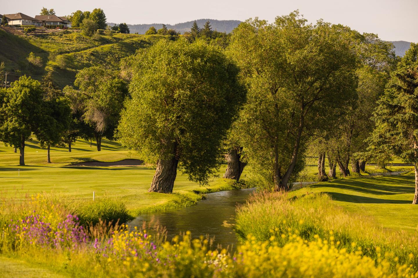 A river running through a golf course