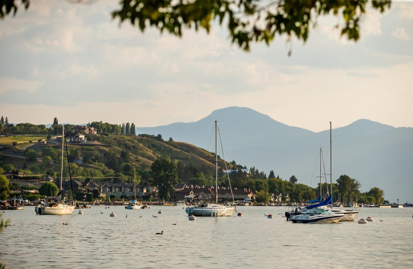 Marina at sunset