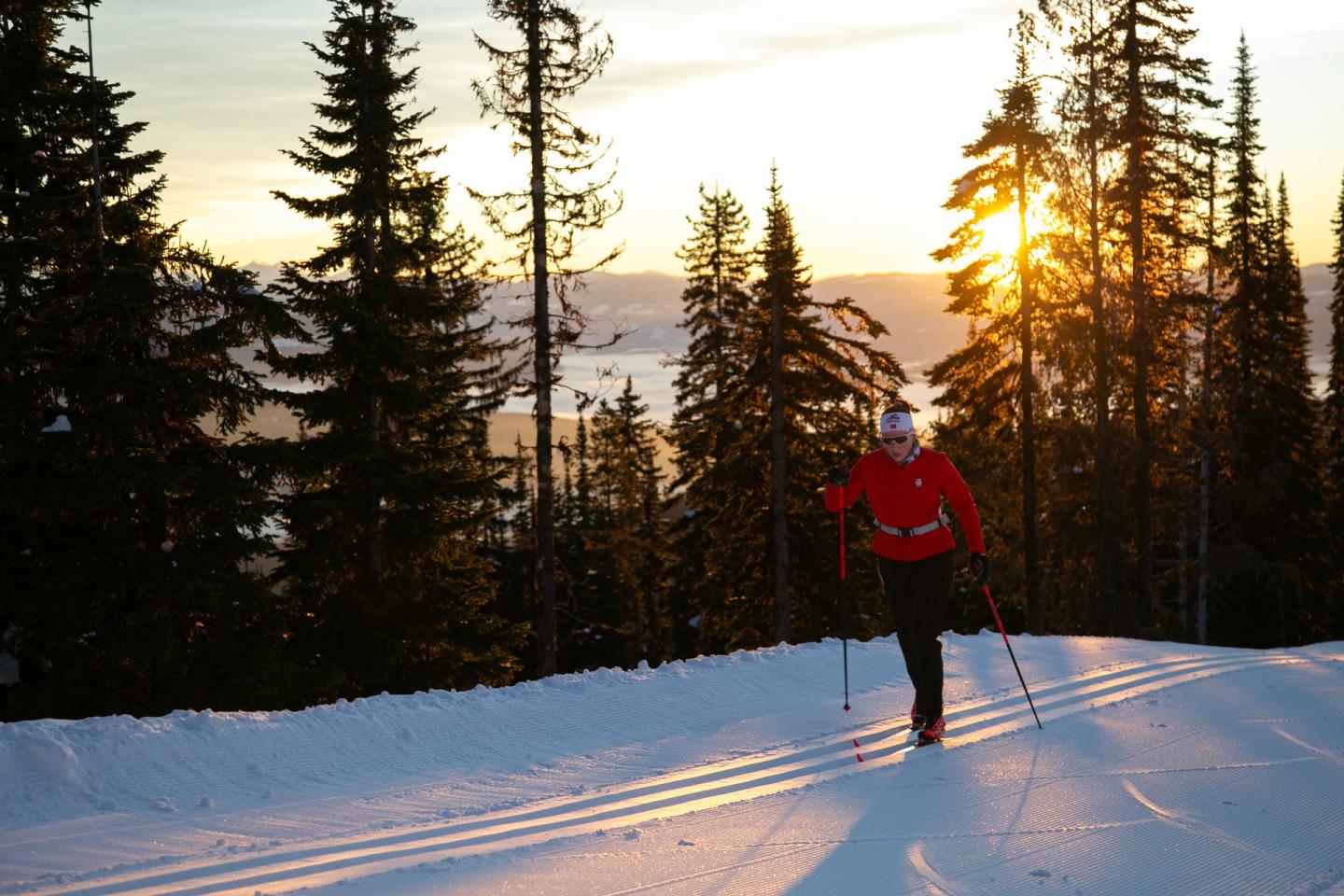 person cross country skiing at sunset