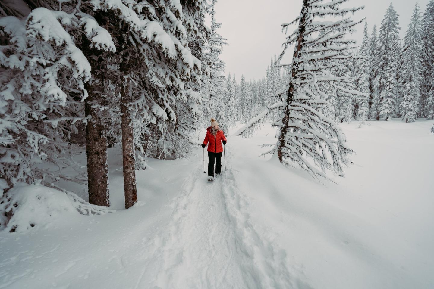 woman snowshoeing in the forest