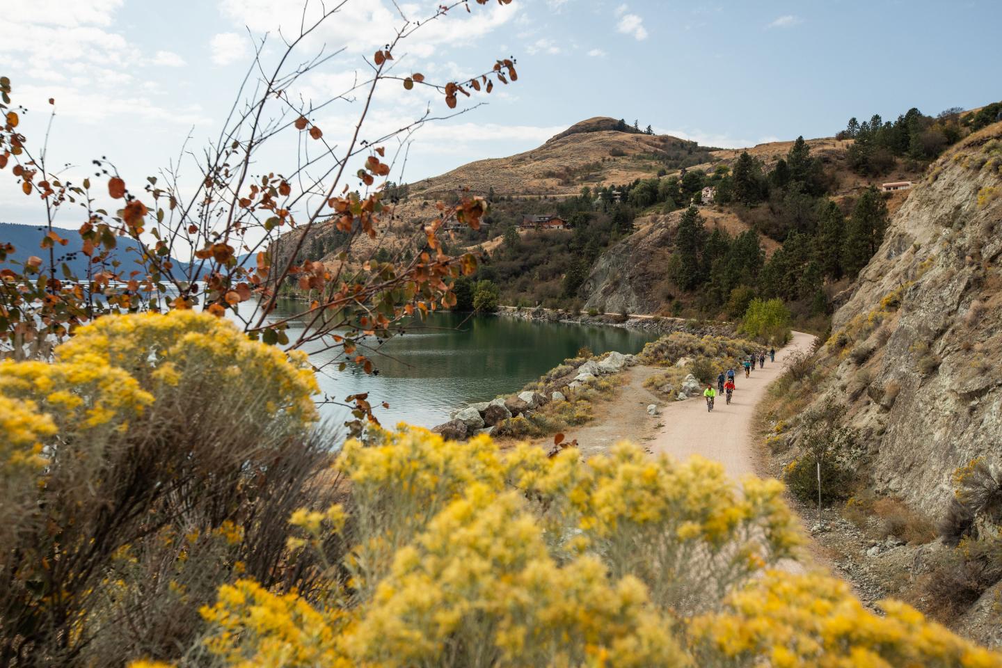Biking the rail trail