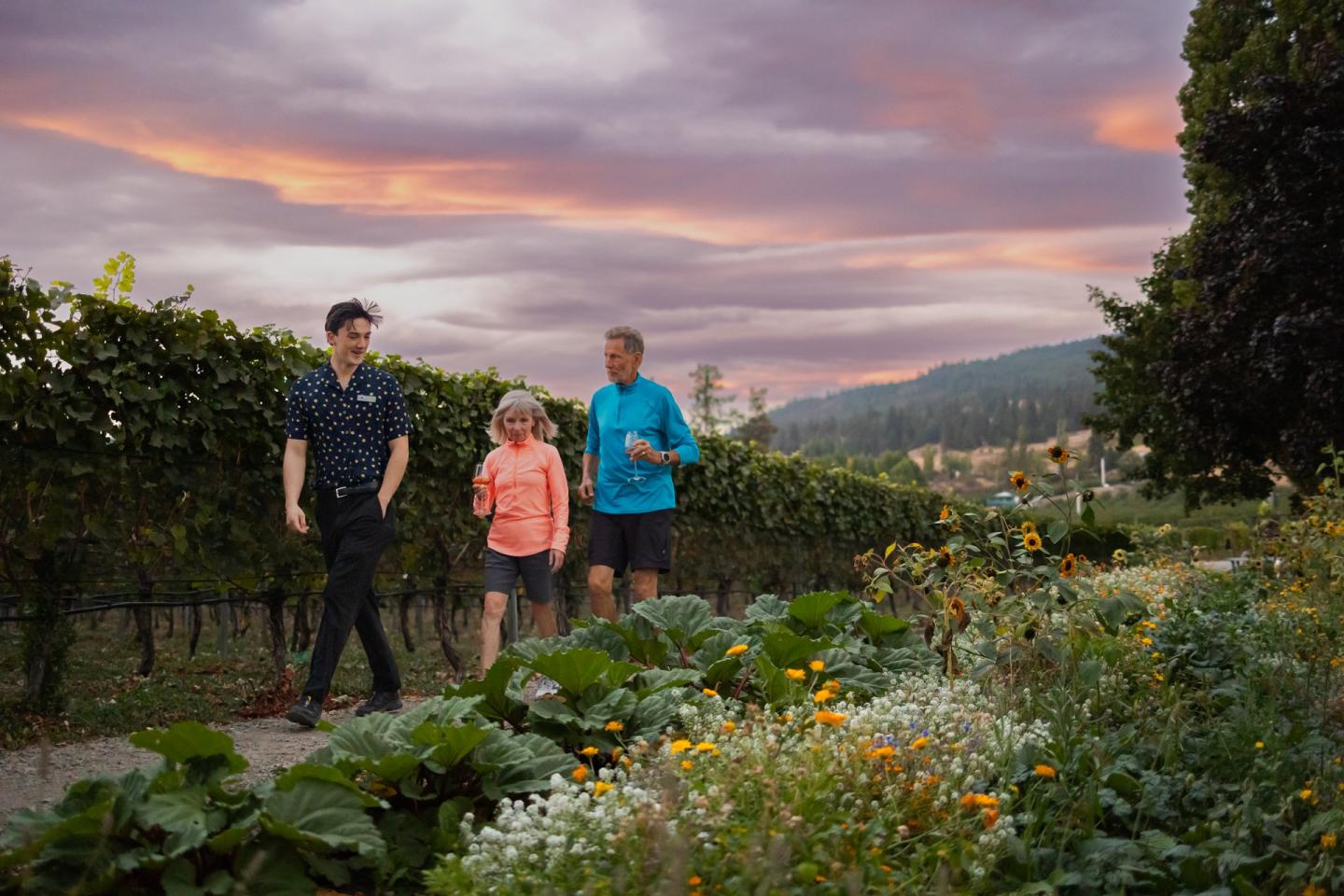 Wine Tour Okanagan