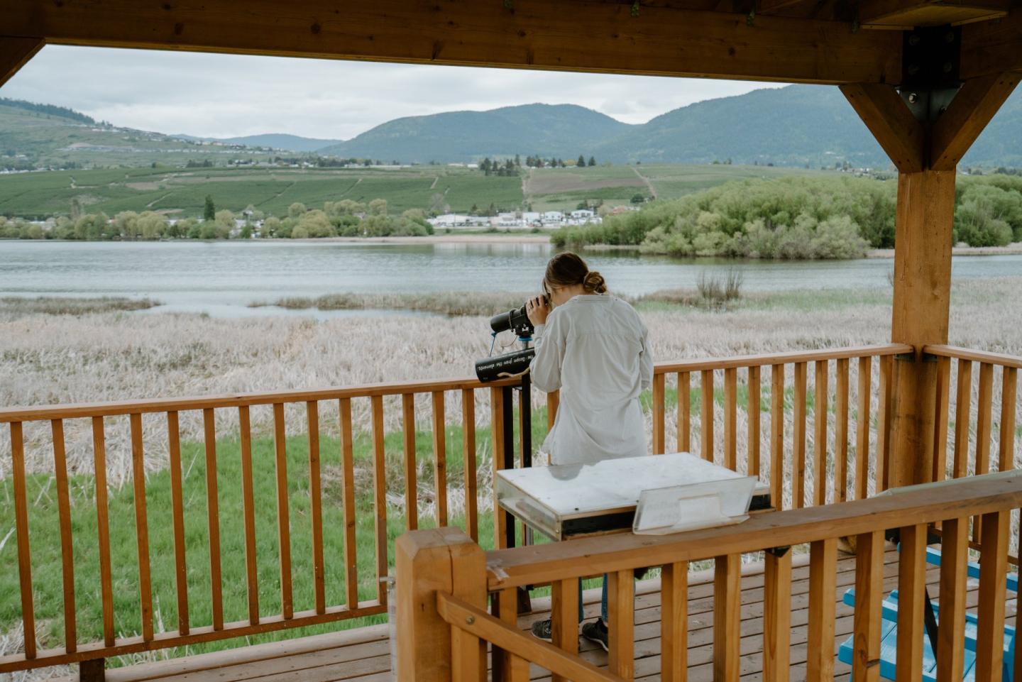person looking through stationary binoculars from birding viewpoint