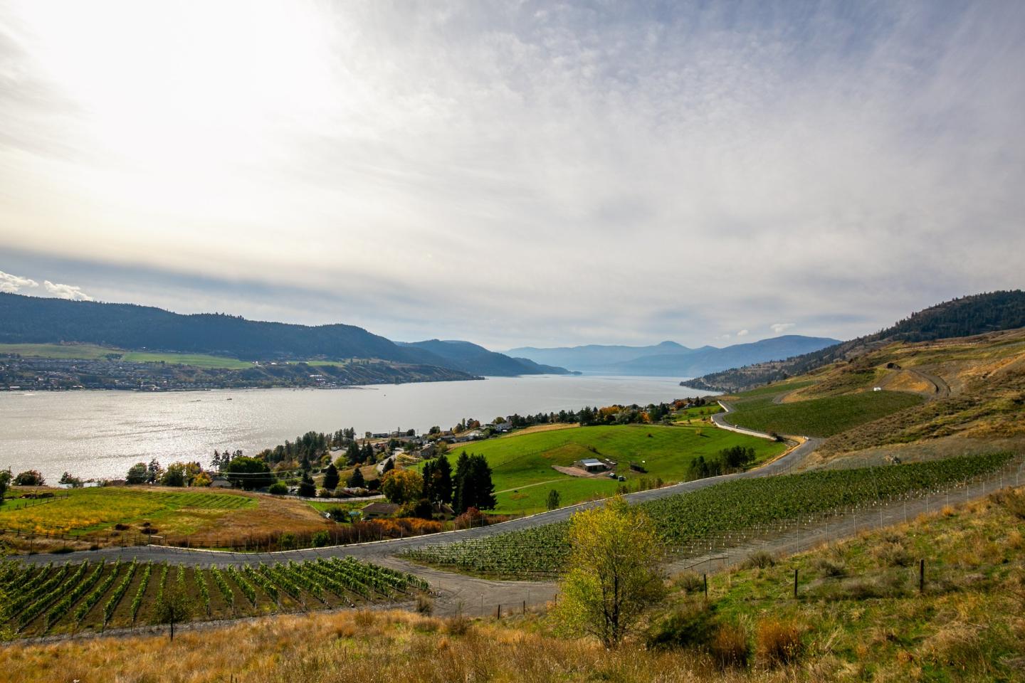 scenic view of orchards on lake