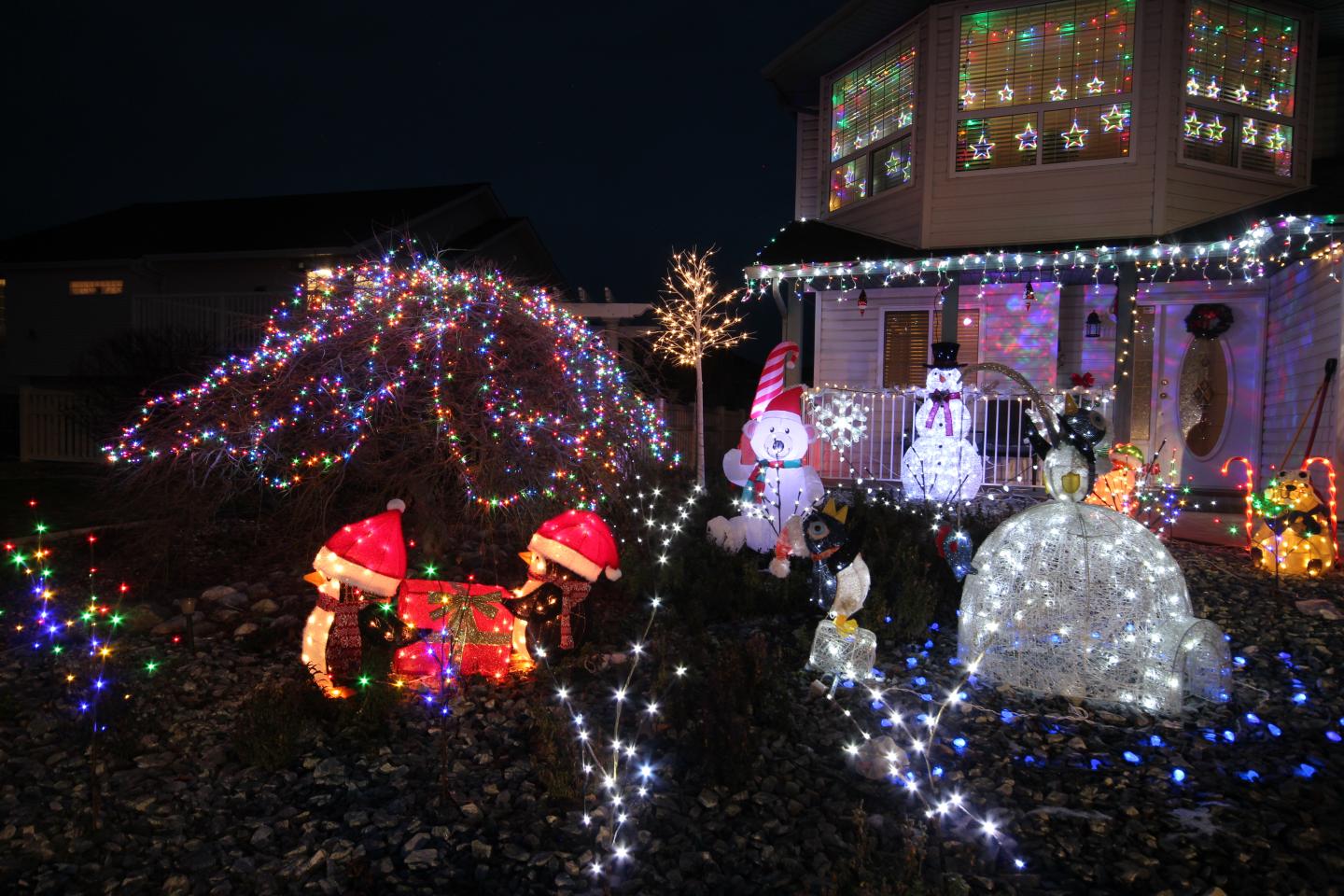 Christmas light show