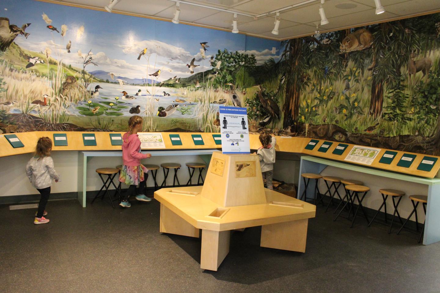 nature centre with kids playing