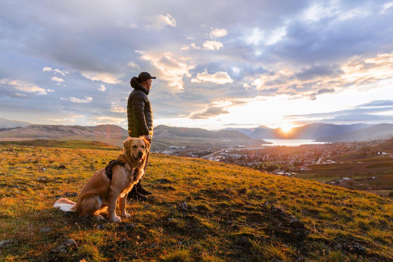 man with dog looking at view in fall