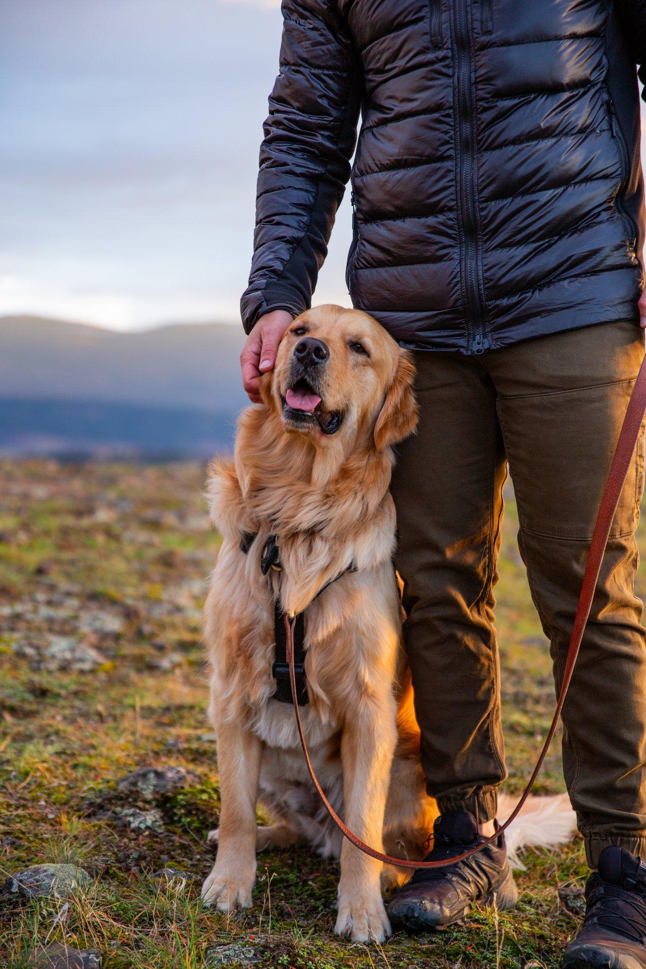 man petting dog on trail