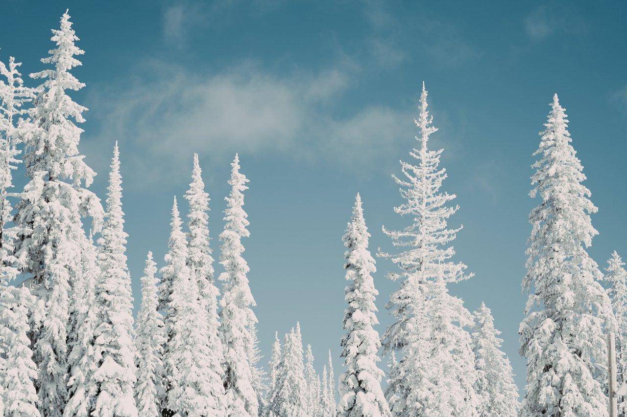 Snowshoeing Tourism Vernon