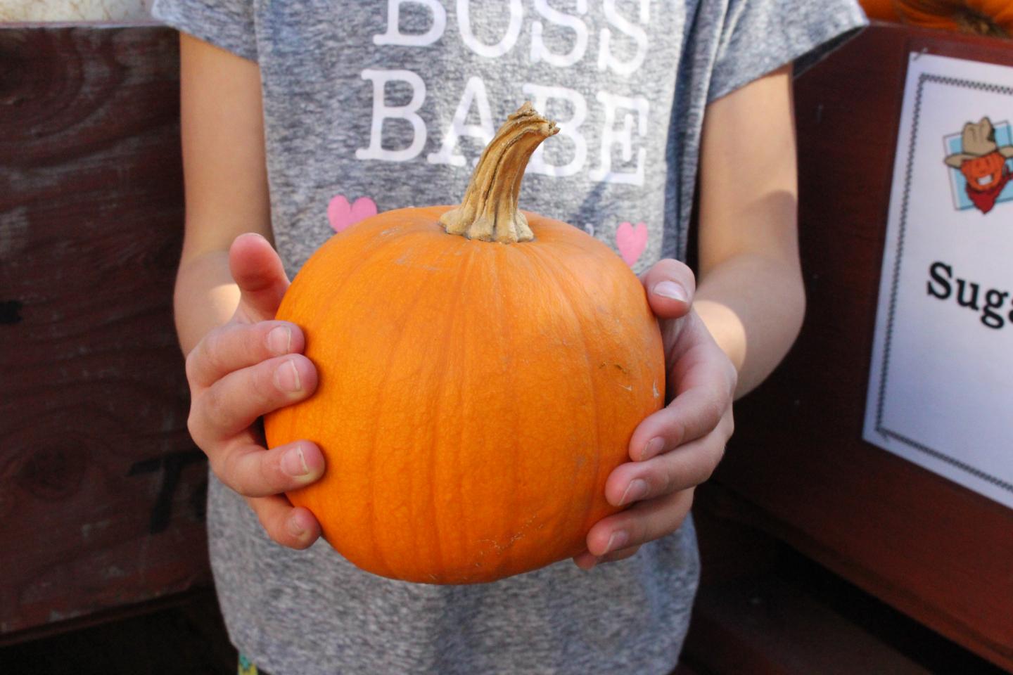kid holding pumpkin