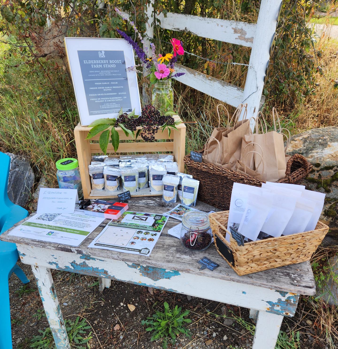 elderberry shop stand