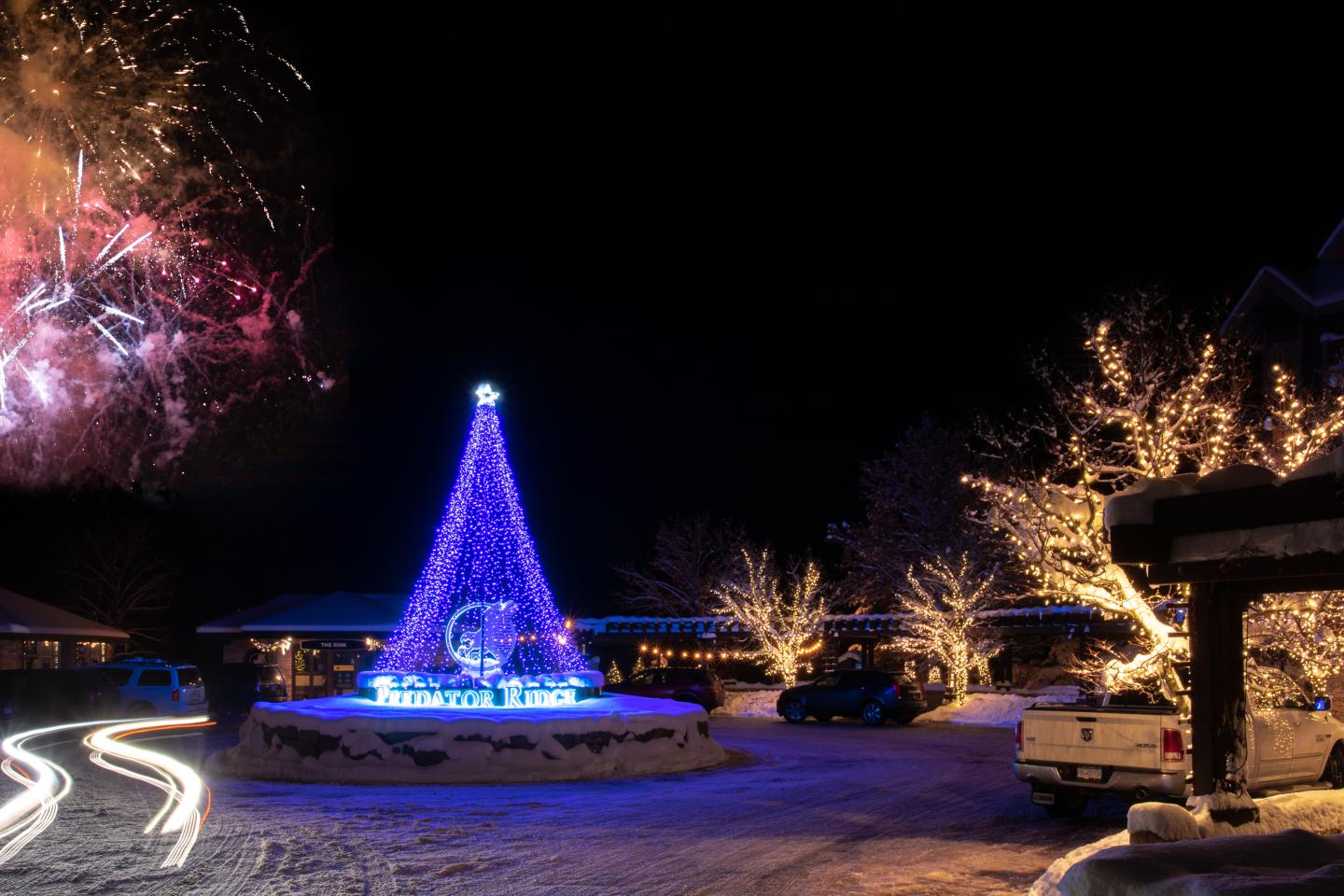 Christmas light show