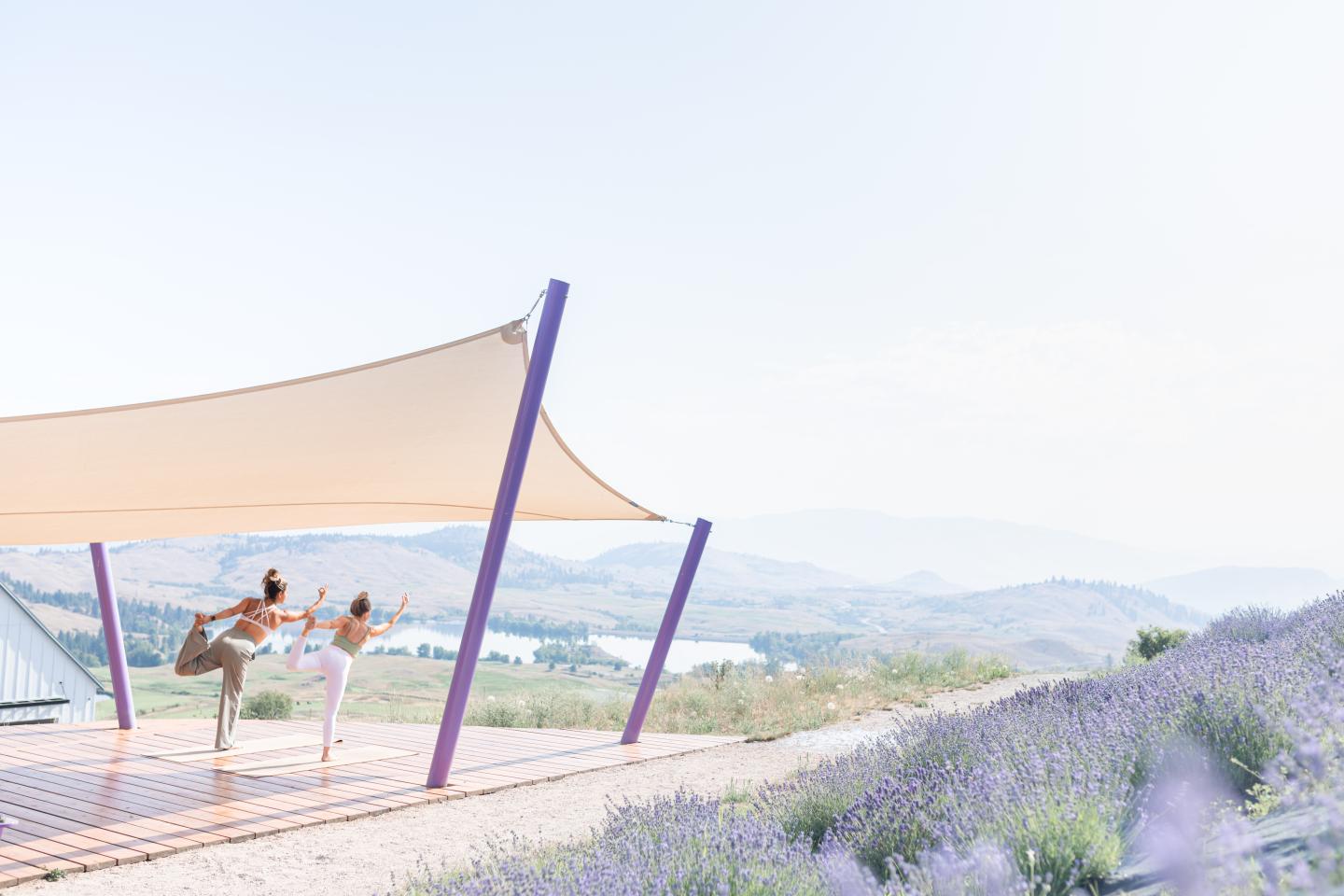 yoga platform in the mountains