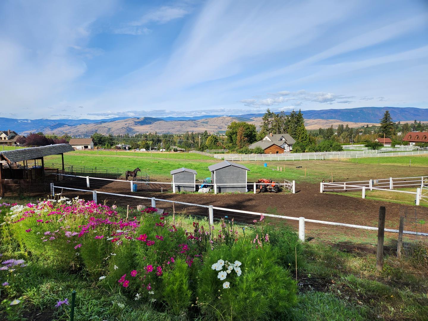 Farm view with horse paddock
