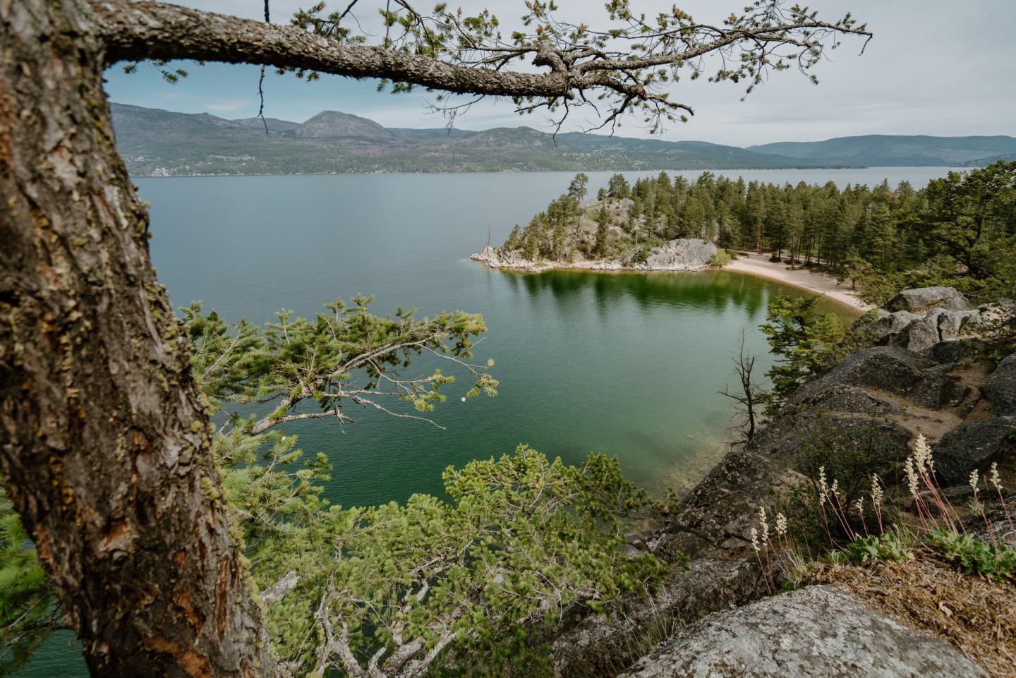 high view of lake