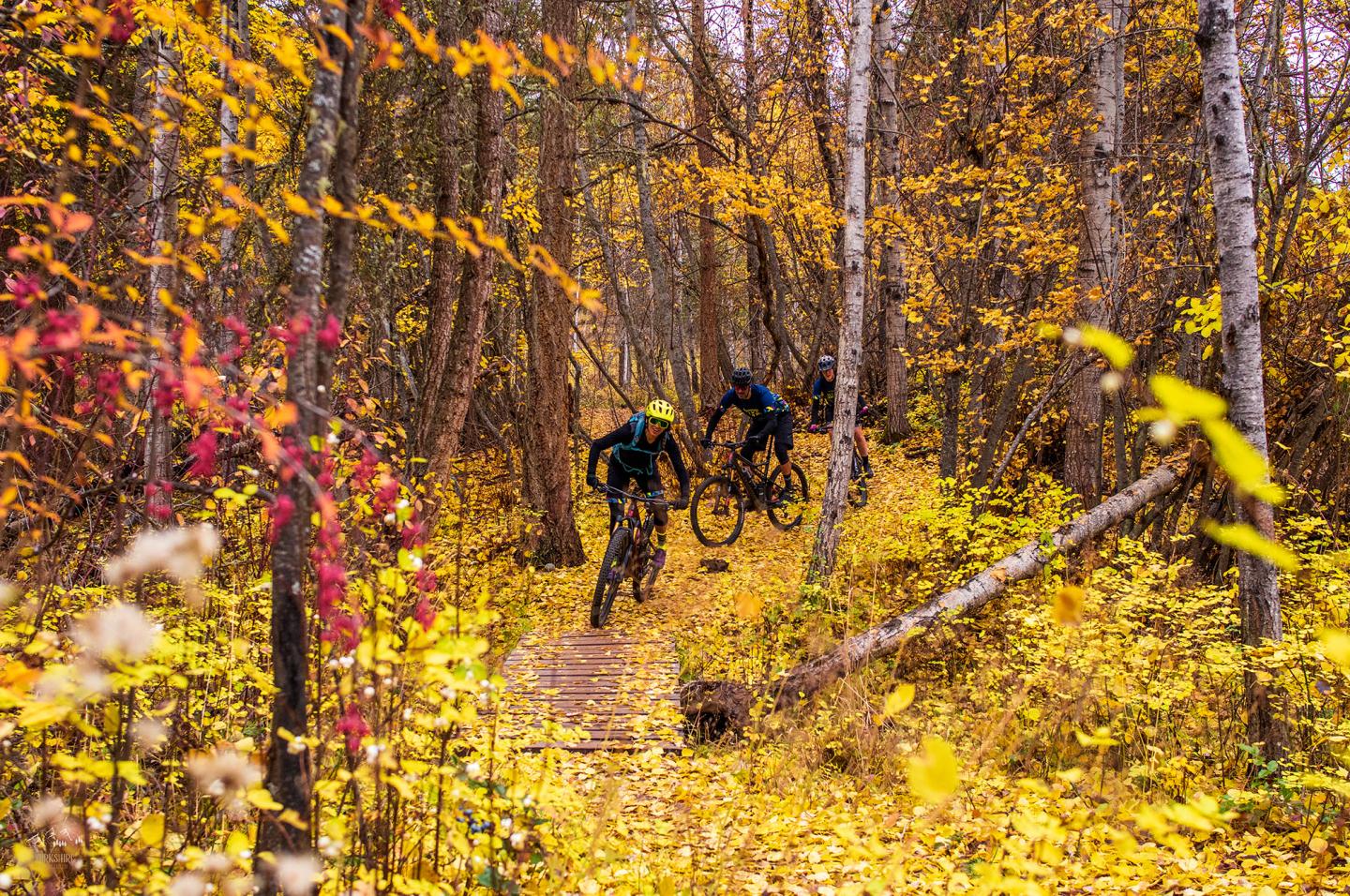 mountain bikers on trail