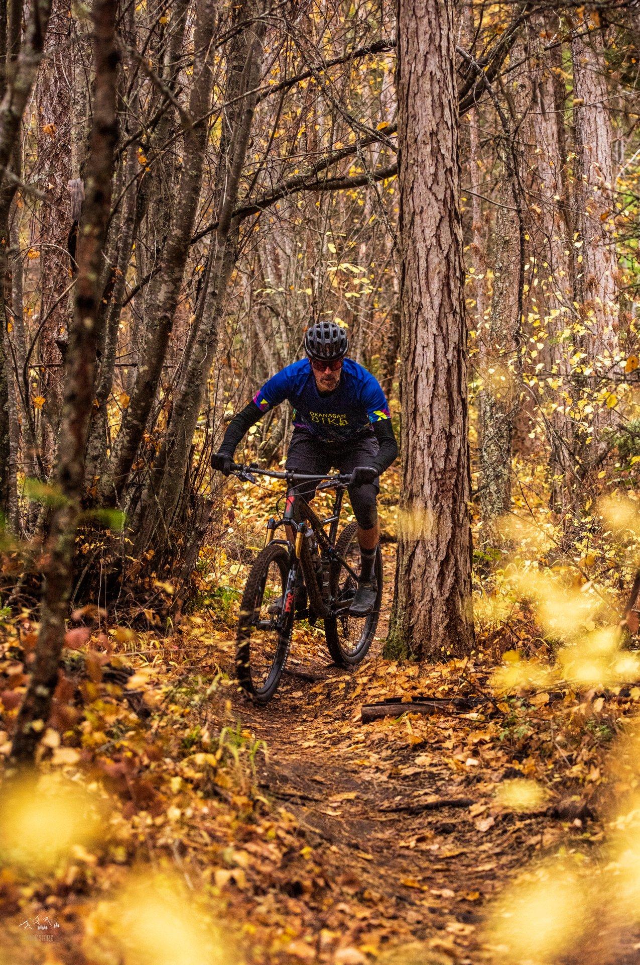 mountain biker in forest