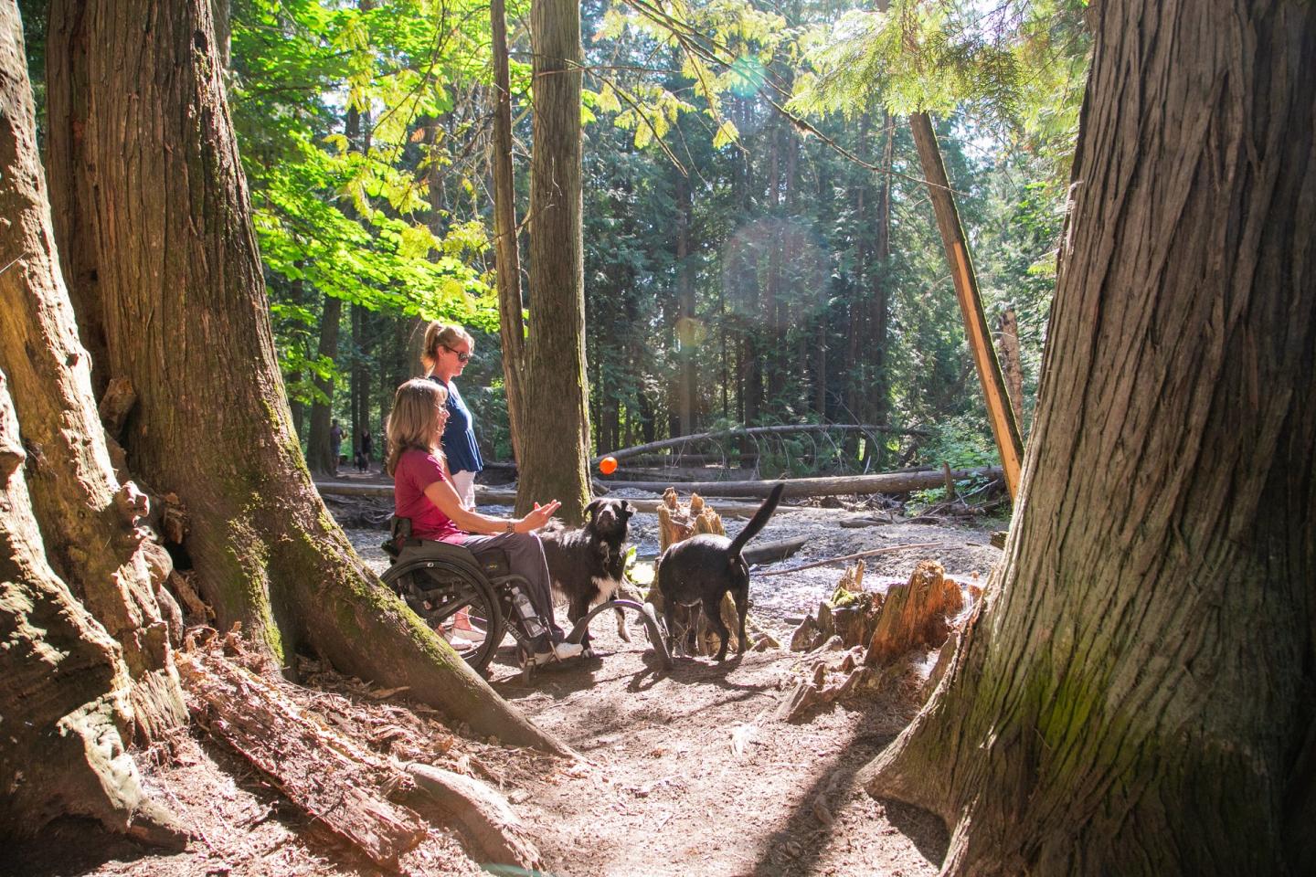 woman in wheelchair and friend with dogs by creek