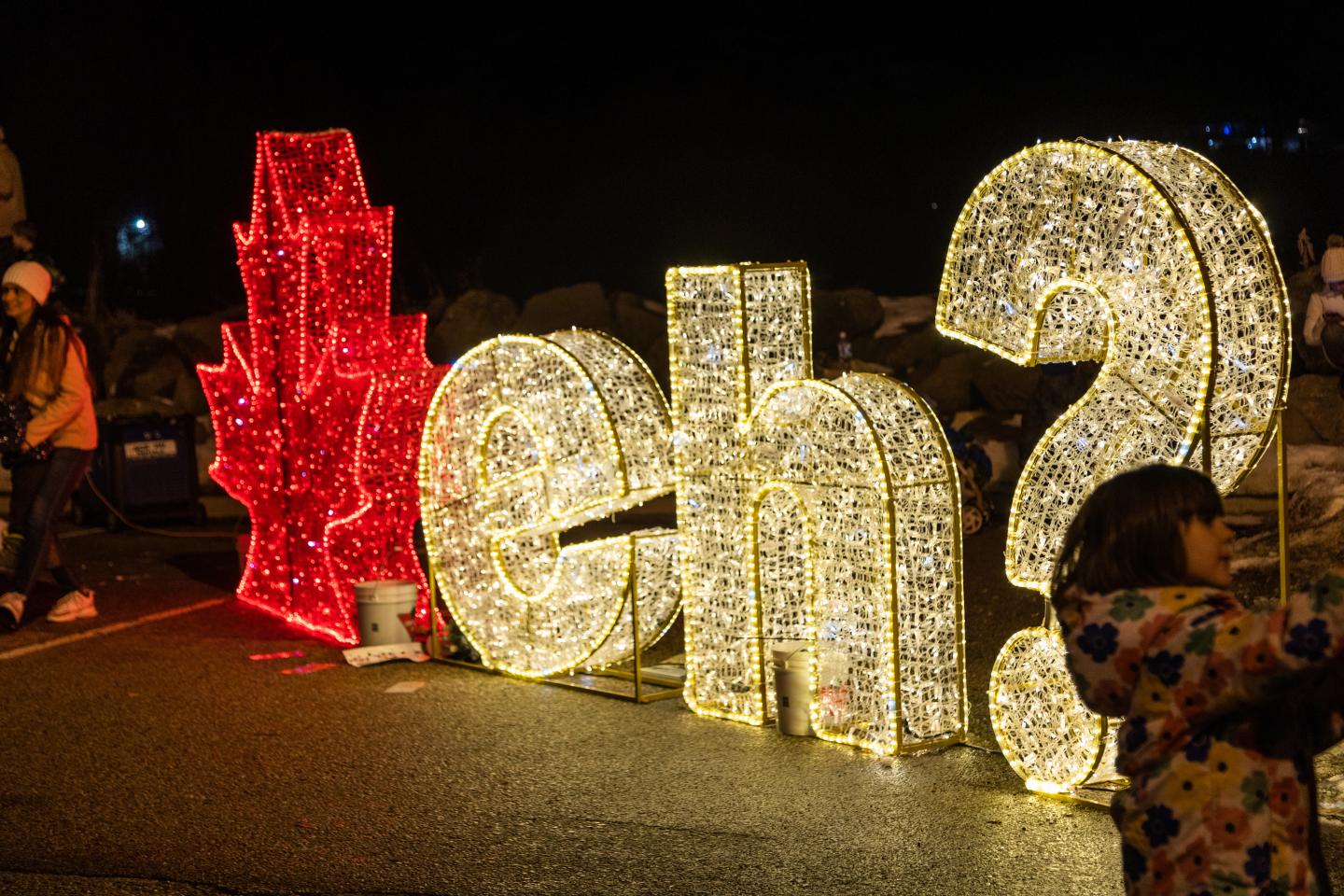 Christmas light show