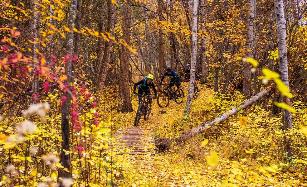 mountain biker going down trail