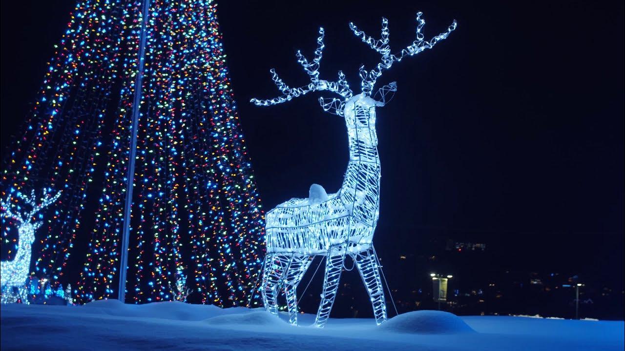 Christmas light reindeer