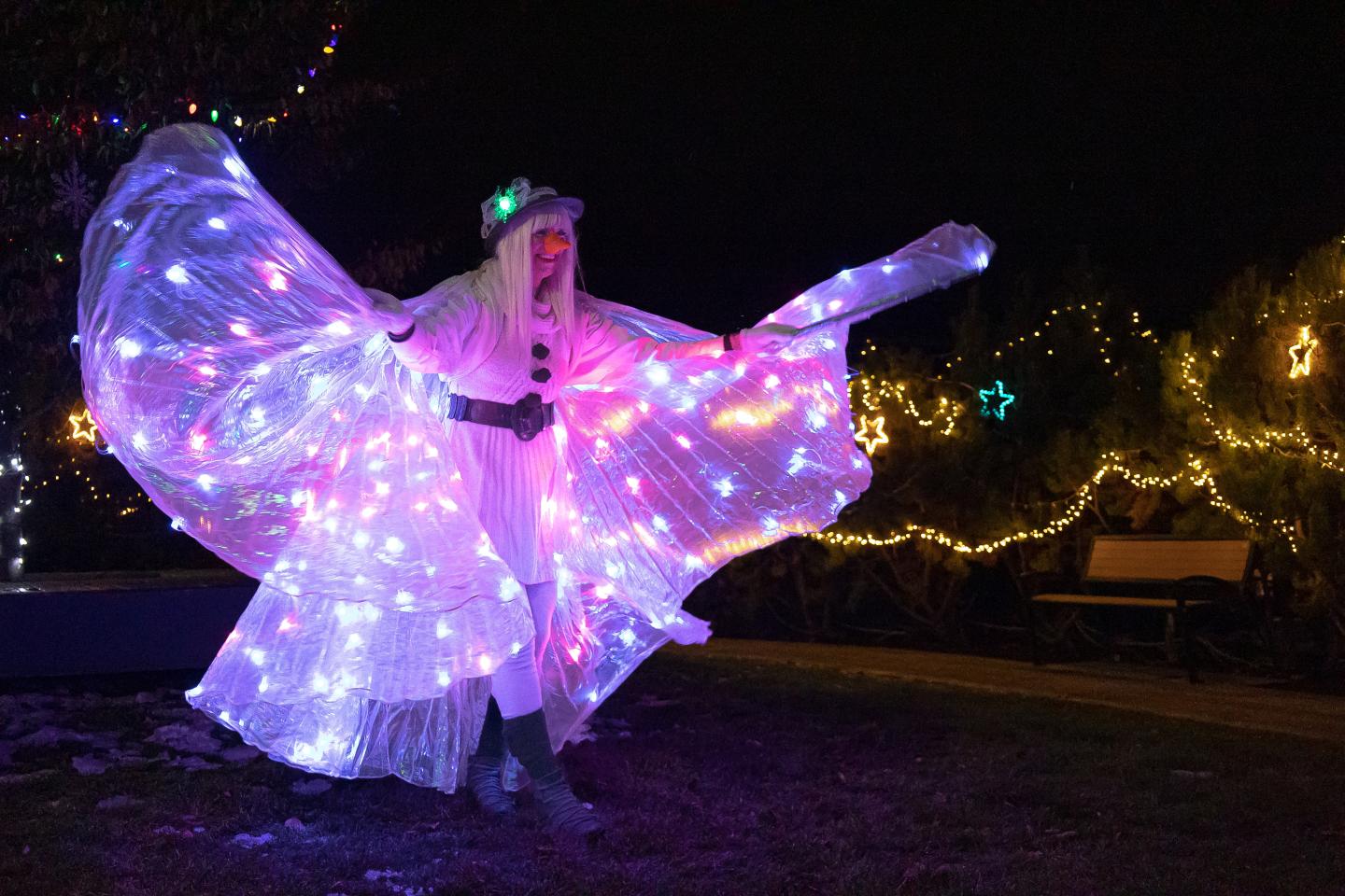 Christmas light show