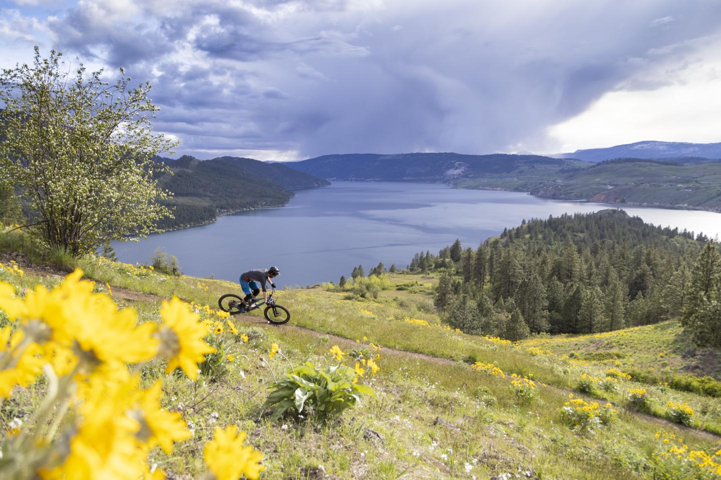 mountain biking over kalamalka lake