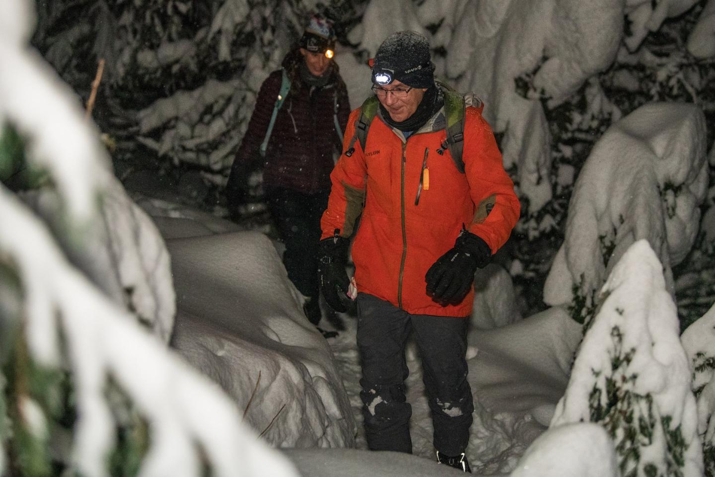 night snowshoeing amongst snow covered trees