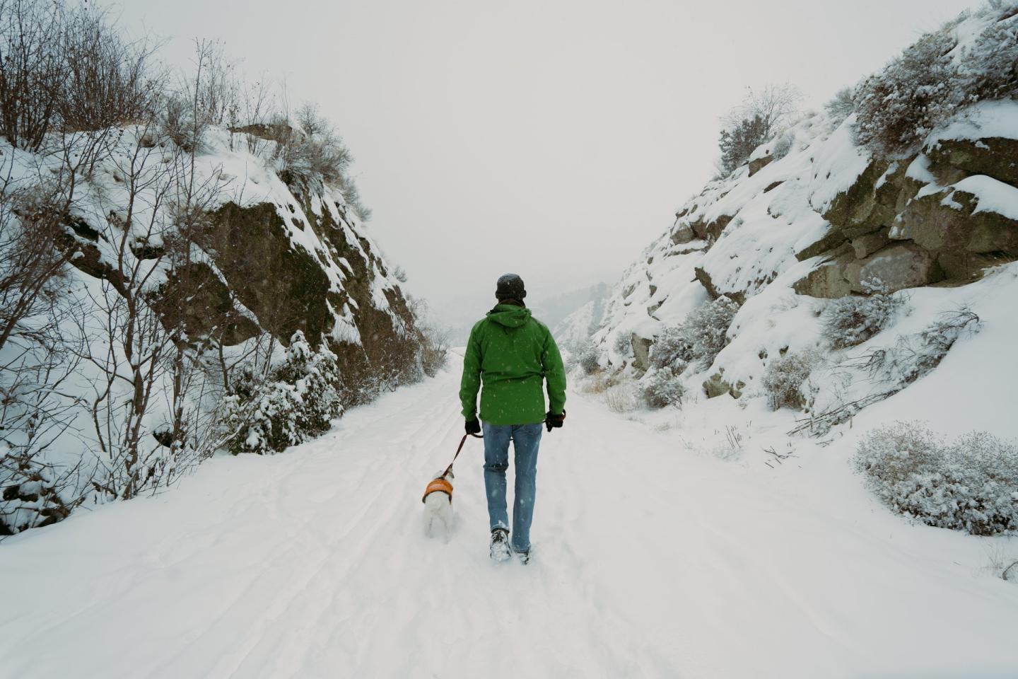 Man walking dog on snowy Rail Trail
