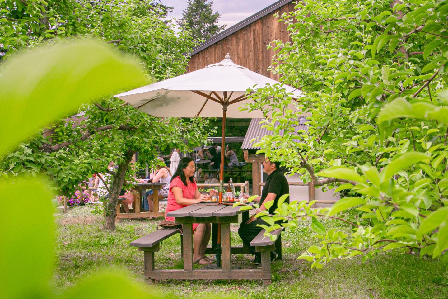 Two people dining in the apple orchard at Cambium Cider