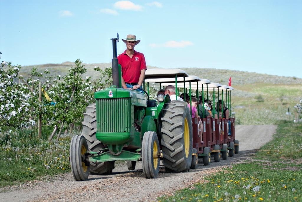 Tractor ride at Davison Orchards