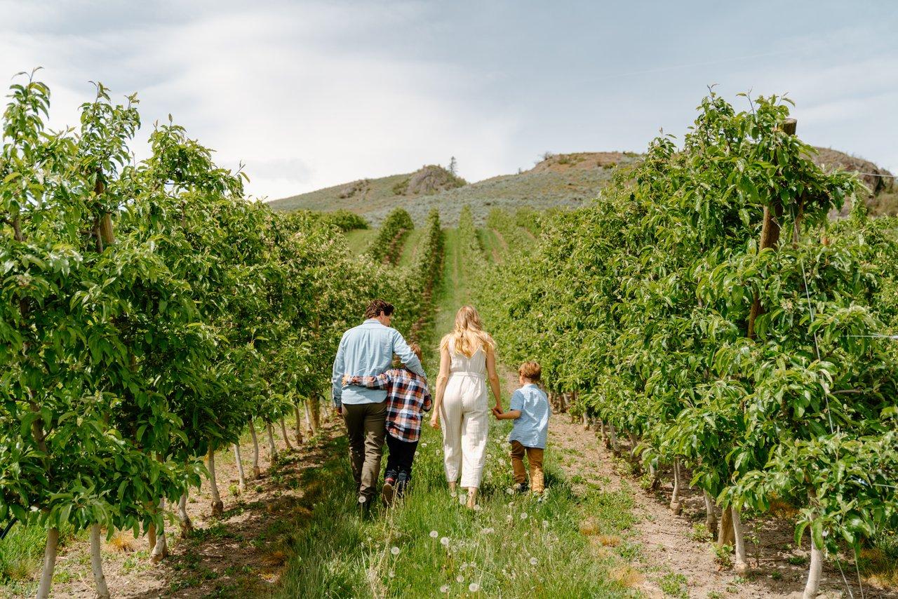 Family of four walking amongst the trees in the orchards at Davison Orchards