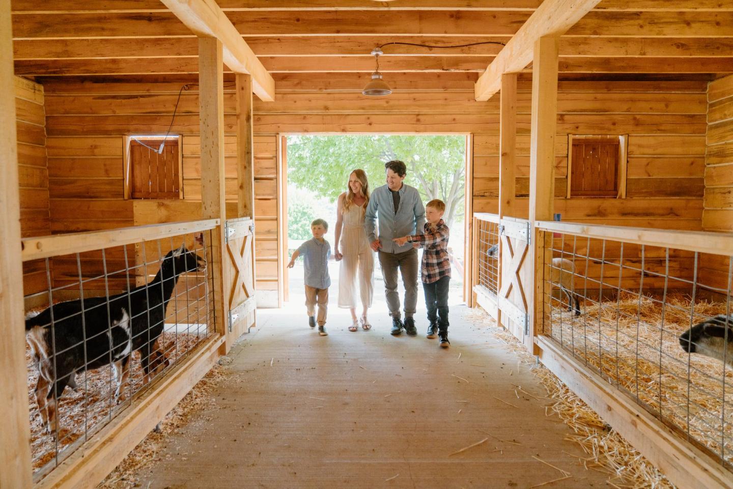Family walking through the petting zoo at Davison Orchards