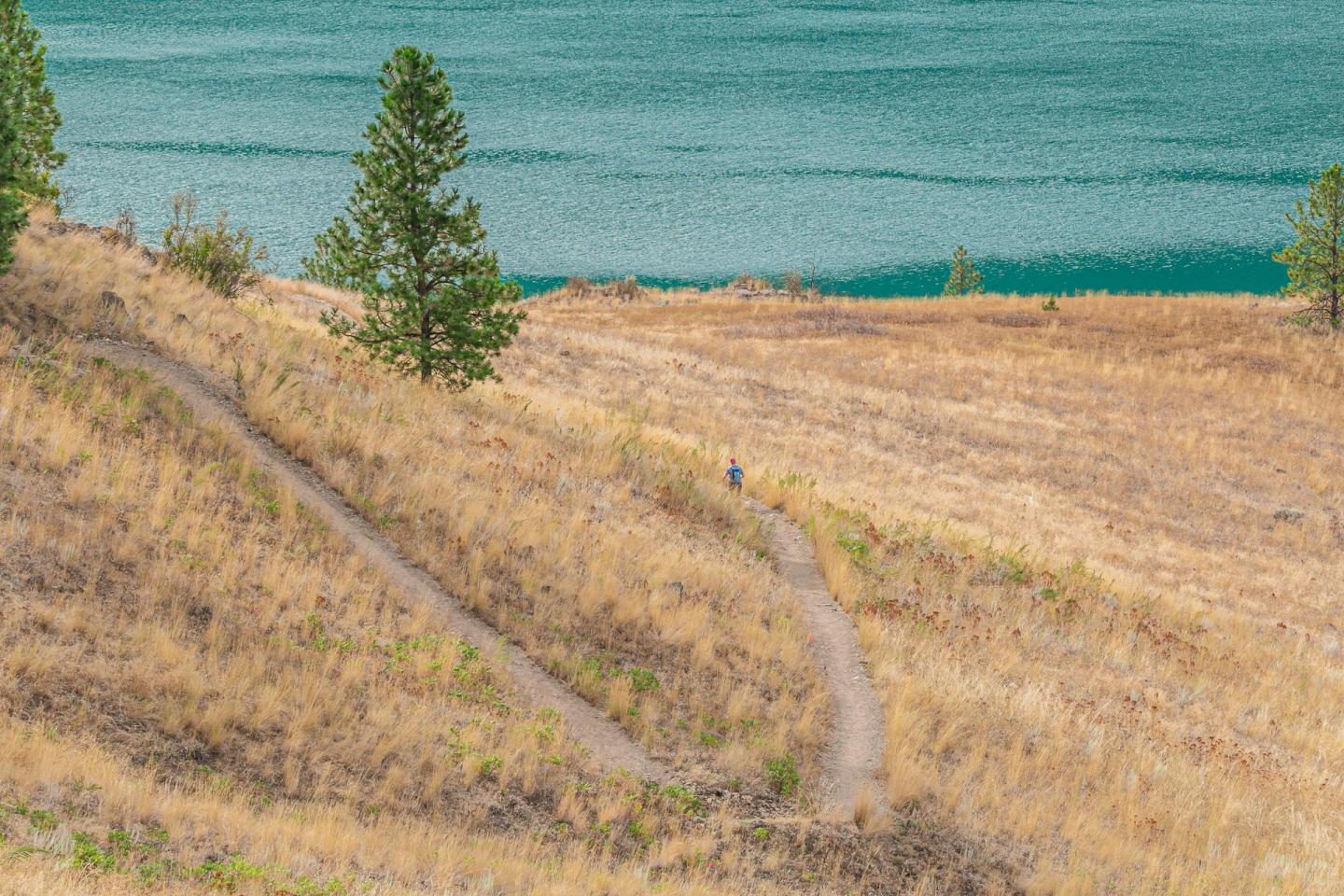 Person running in Kal Lake Park