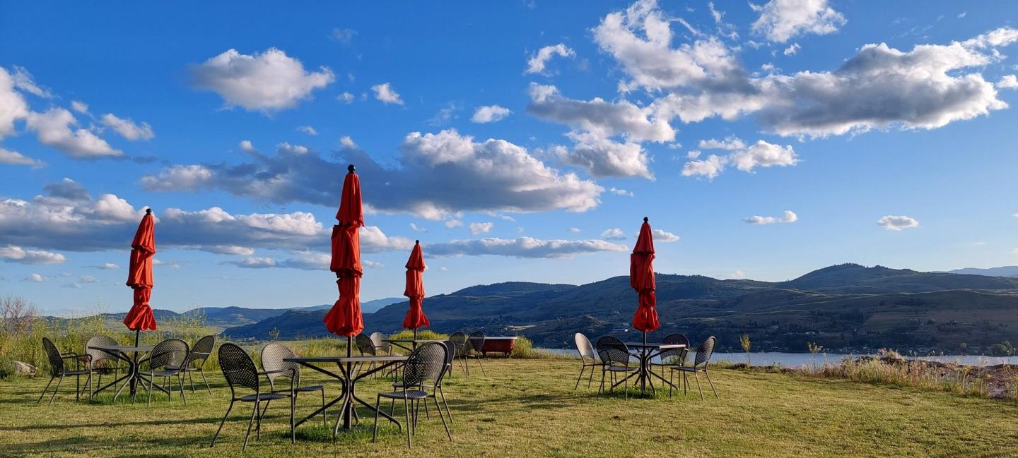 View at the Perch Winery