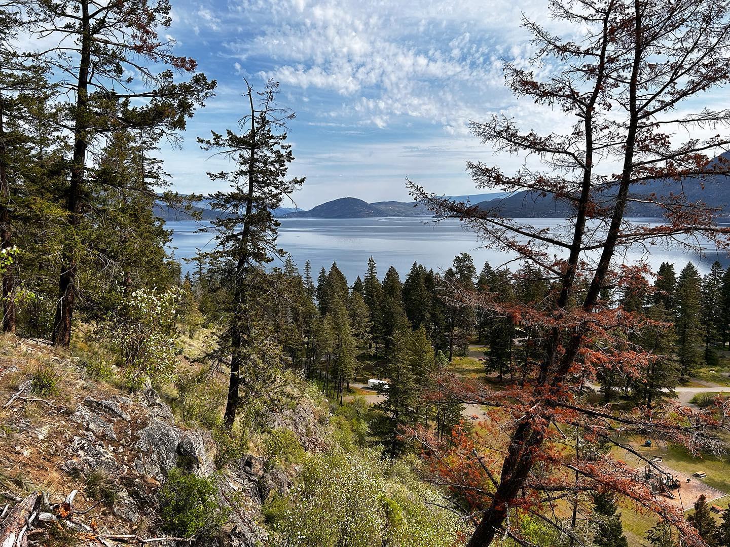 Fintry Provincial Park image of forest and lake views