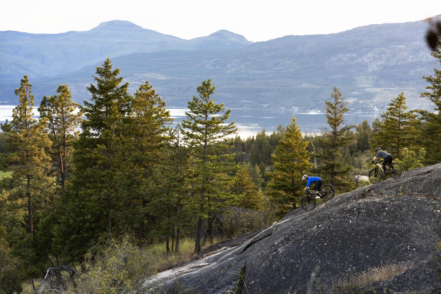 mountain bikers