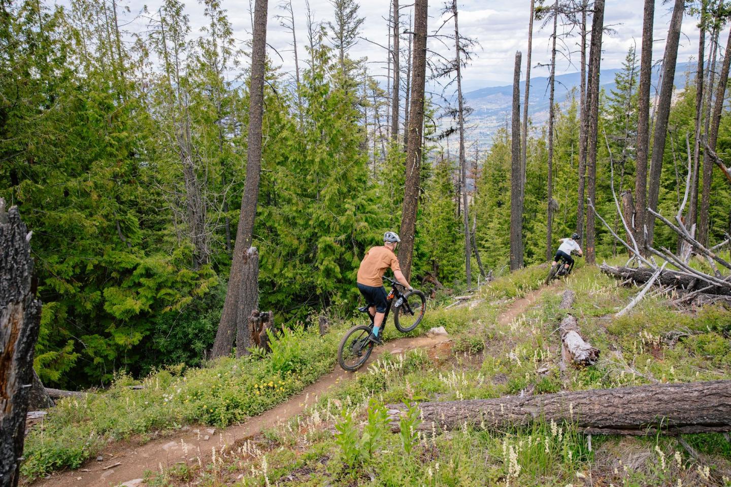two friends mountain biking in hills