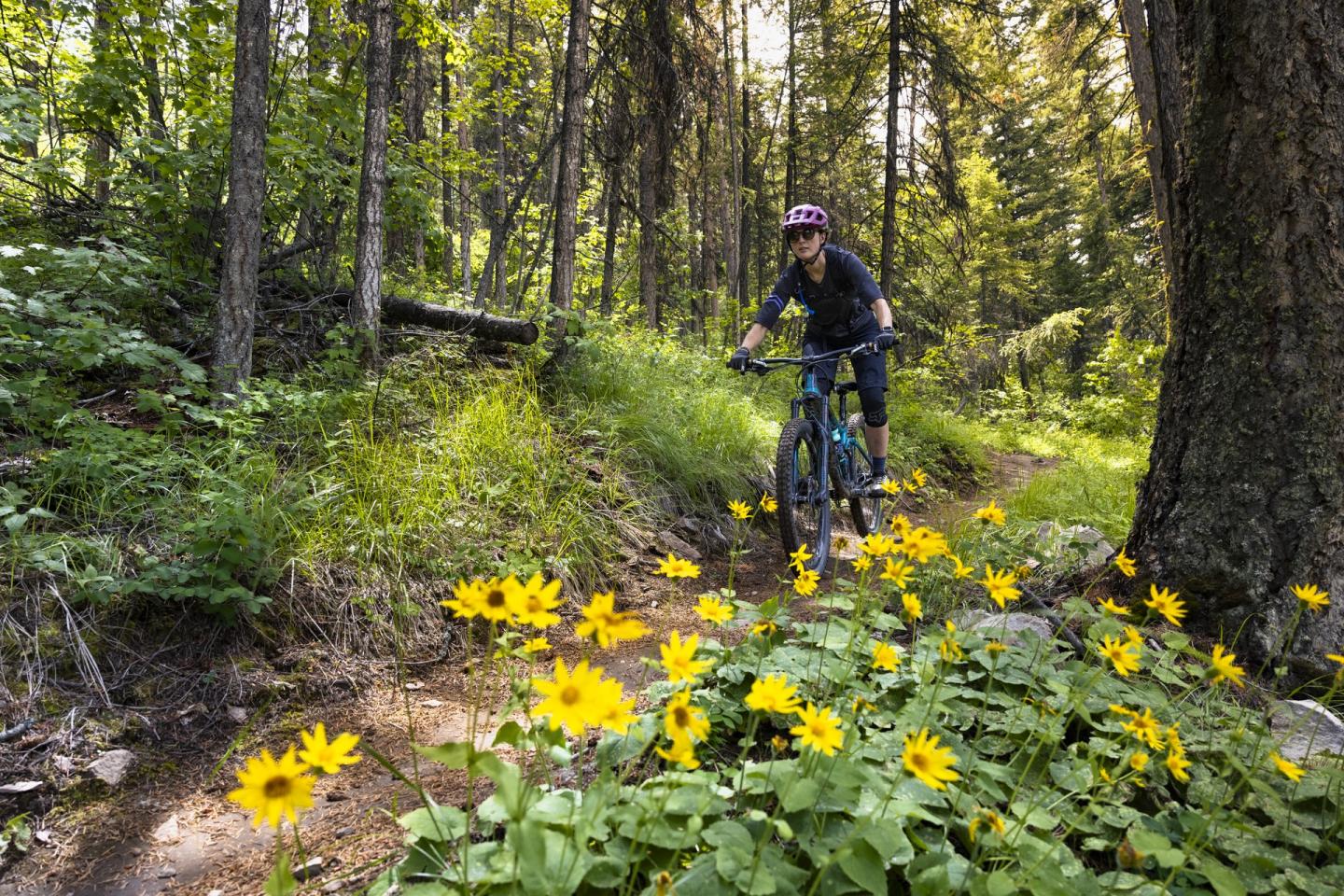 mountain biking