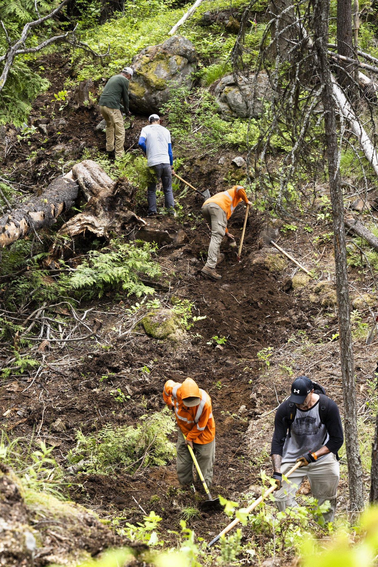 trail builders working on mountain bike trail