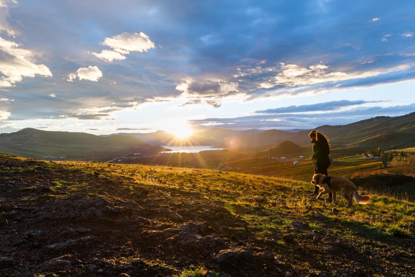 Woman walking on the top of a hill at sunset with her dog in Vernon, BC