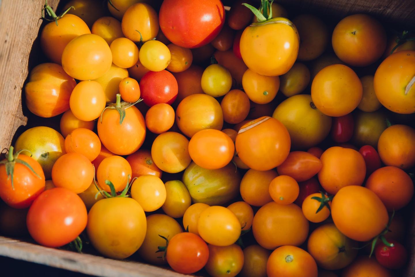 Crate of tomatoes
