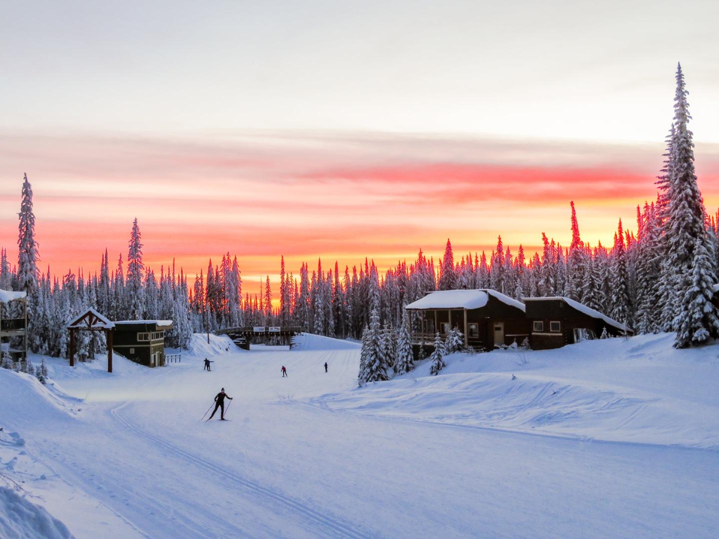 nordic skier at sunset enjoying the trails