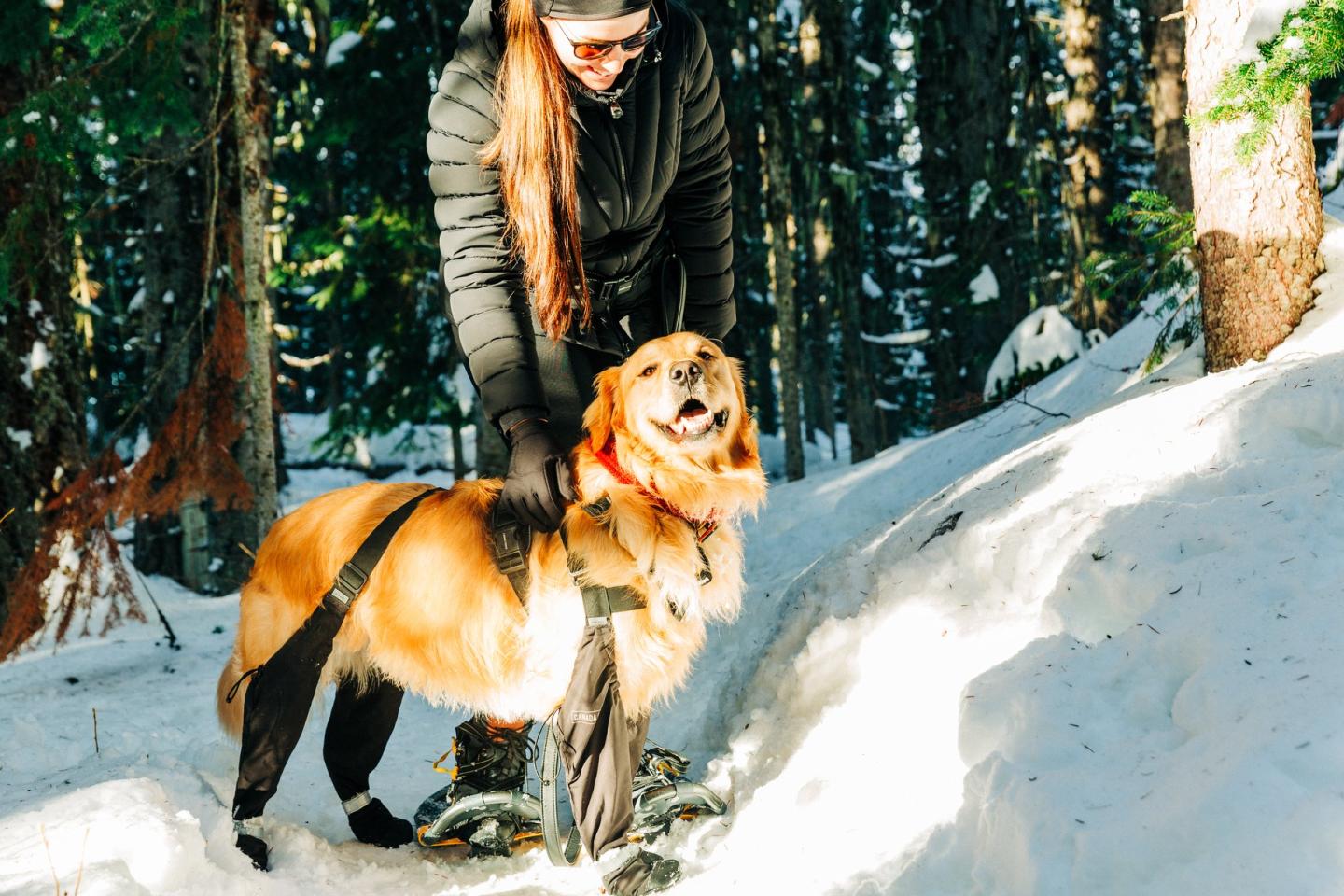 woman petting her dog on a snowy trail