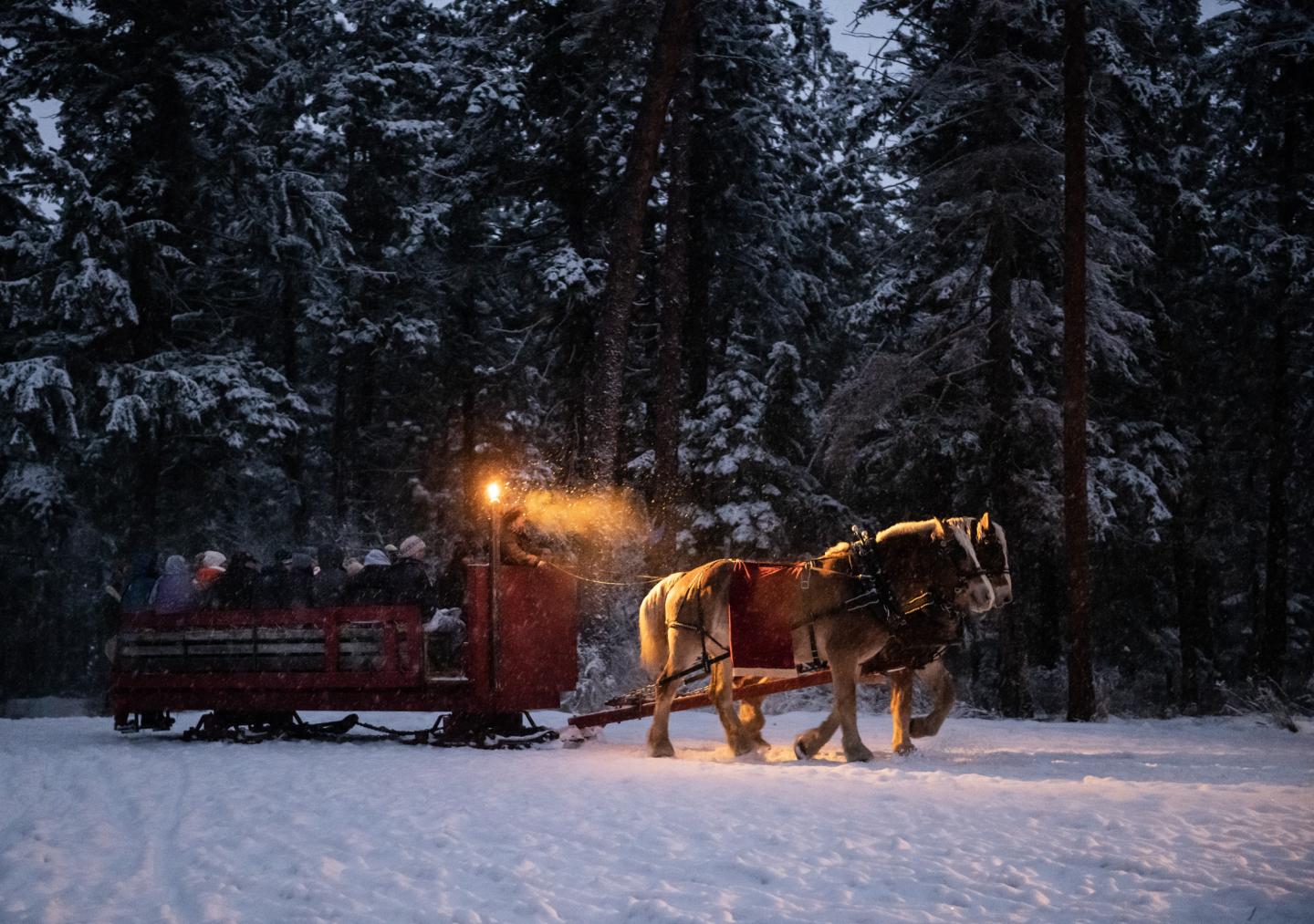 Winter Sleigh Ride - Caravan Farm Theatre