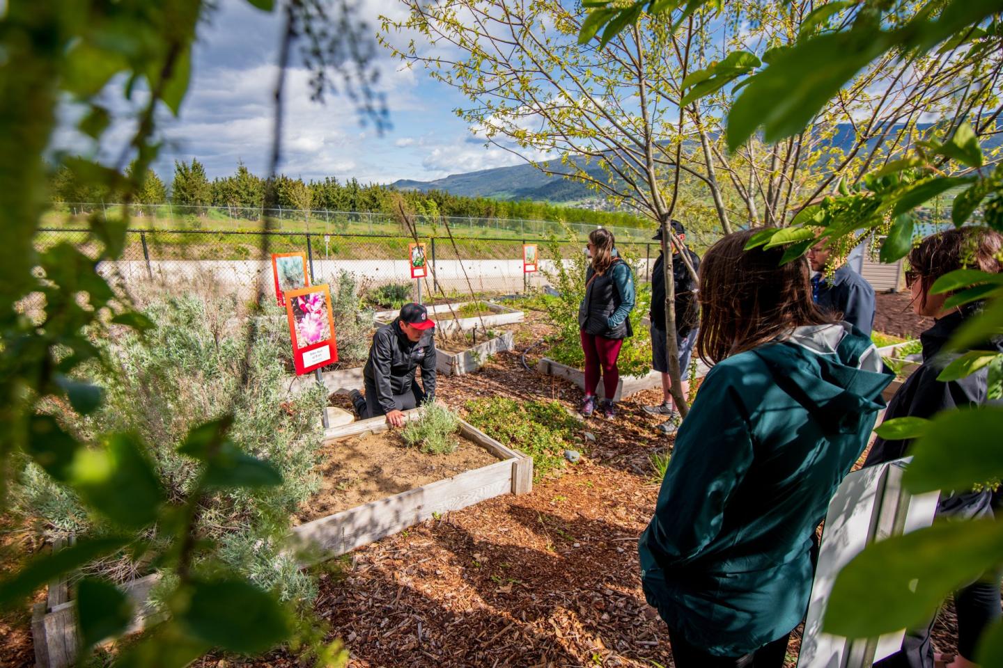 People stood around garden boxes
