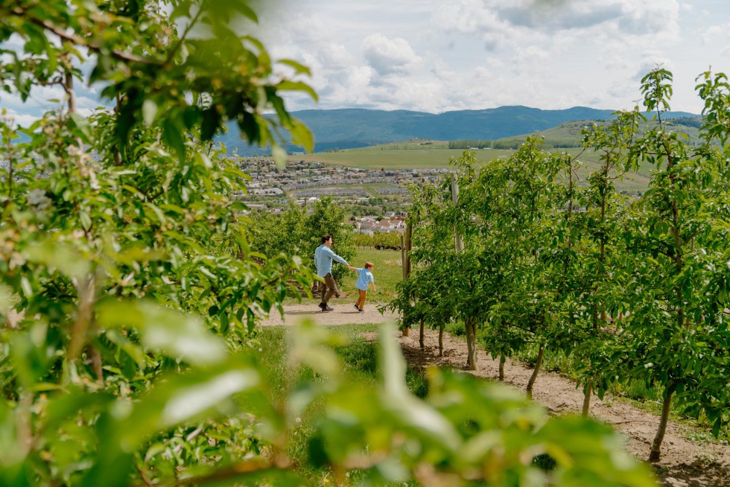 father and son walking in orchard