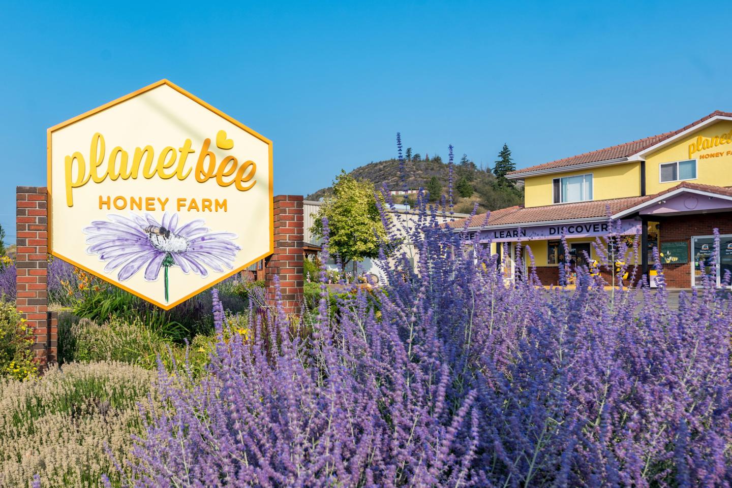 planet bee honey farm sign with lavender plants in front